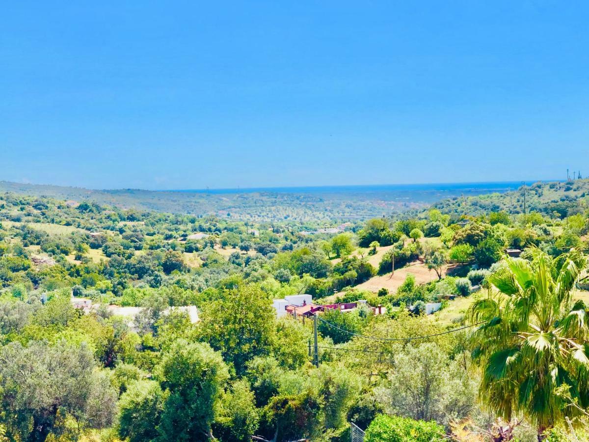 فيلا Luxury Casa Da Fonte - Private Heated Salt Pool فارو المظهر الخارجي الصورة